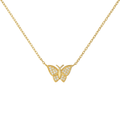 Butterfly Kissed